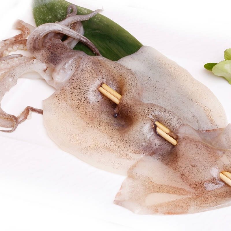 新鲜大鱿鱼串铁板烧烤油炸火锅鱿鱼板速冻鱿鱼半成品100支50g整条5包