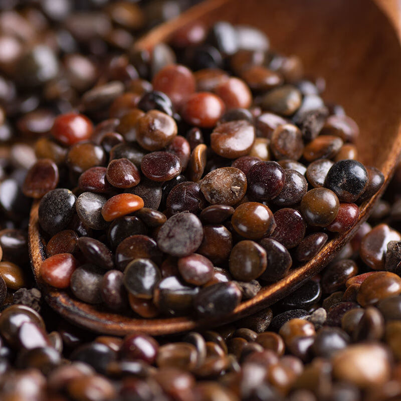 北京 枳椇子 中药材枳椇子 拐枣籽枳椇籽茶 四川野生枳椇籽 可磨粉