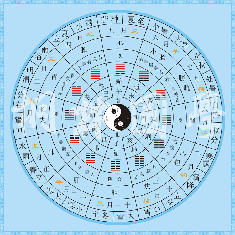 十二辟卦卦象图中医养生太极八卦图二十四节气脏腑经络装饰画286淡