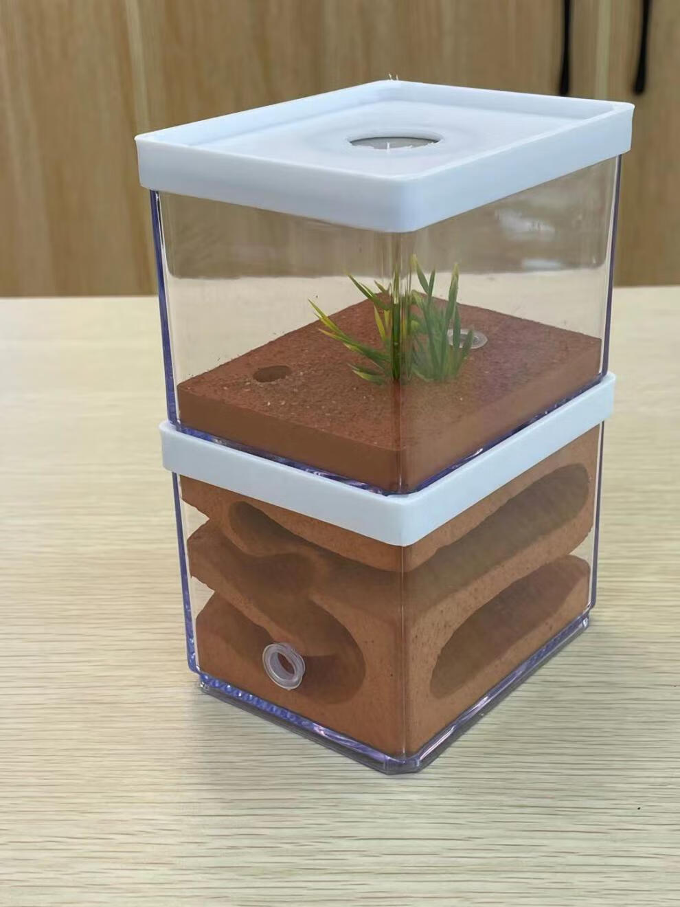 蚂蚁城堡 繁殖版 超大 双层巢 宠物蚂蚁城堡 生态箱