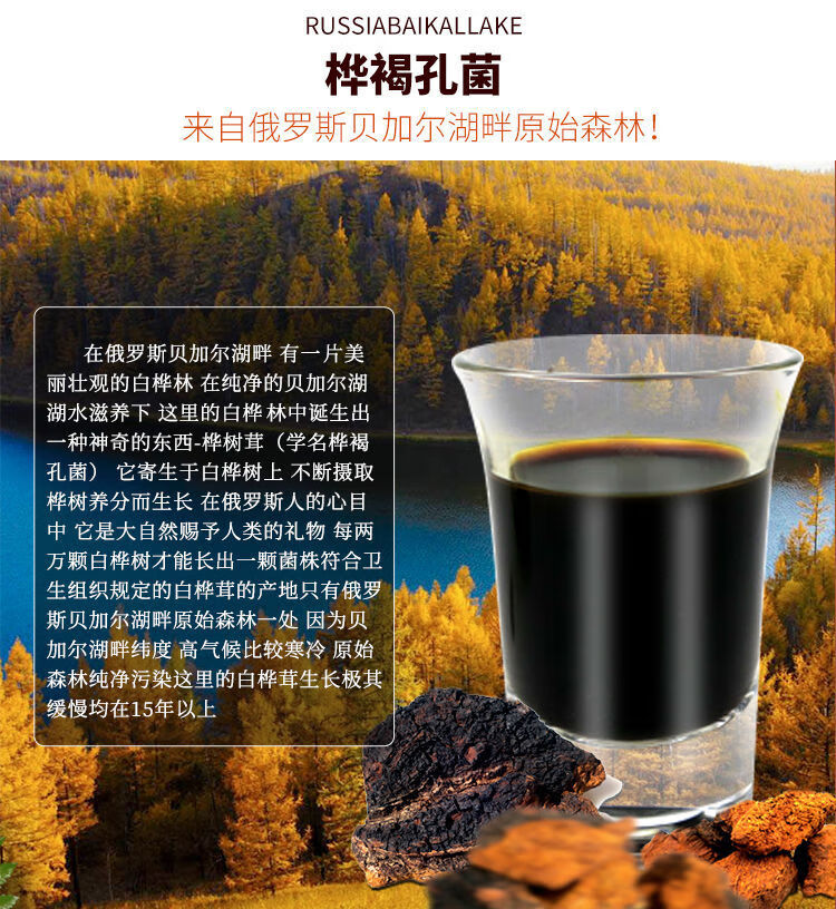 伟博俄罗斯白桦茸萃取液桦树茸口服液桦褐孔菌提取浓缩液250g125毫升