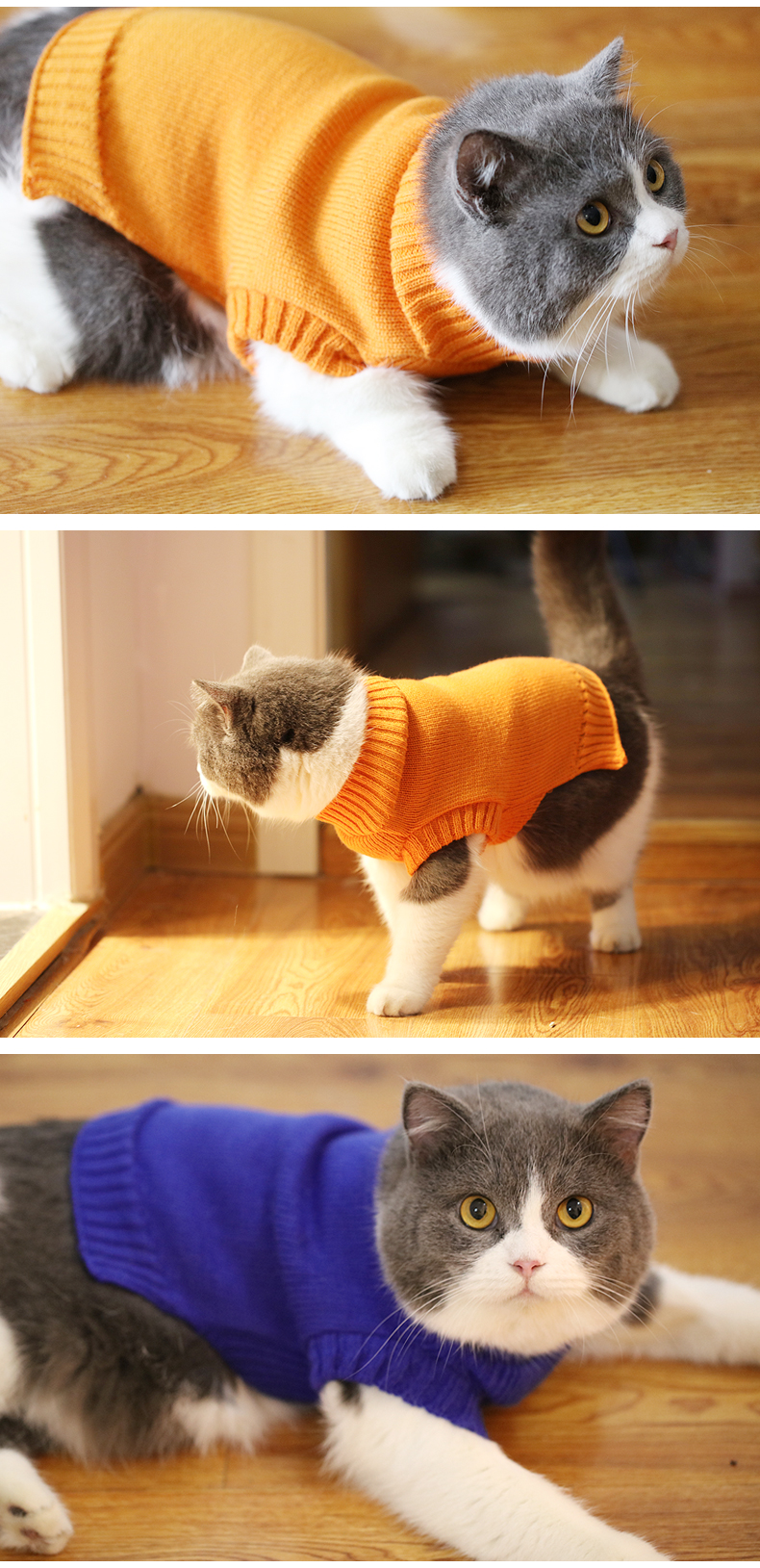 暹罗猫衣服猫咪衣服秋冬装宠物小猫英短蓝猫暹罗无毛猫