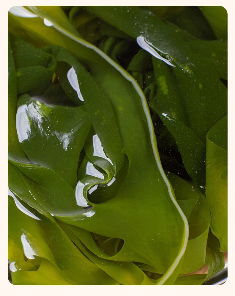 海带裙带菜干货批发鲜嫩特级海白菜整箱凉拌盐渍火锅食材配菜 精品五
