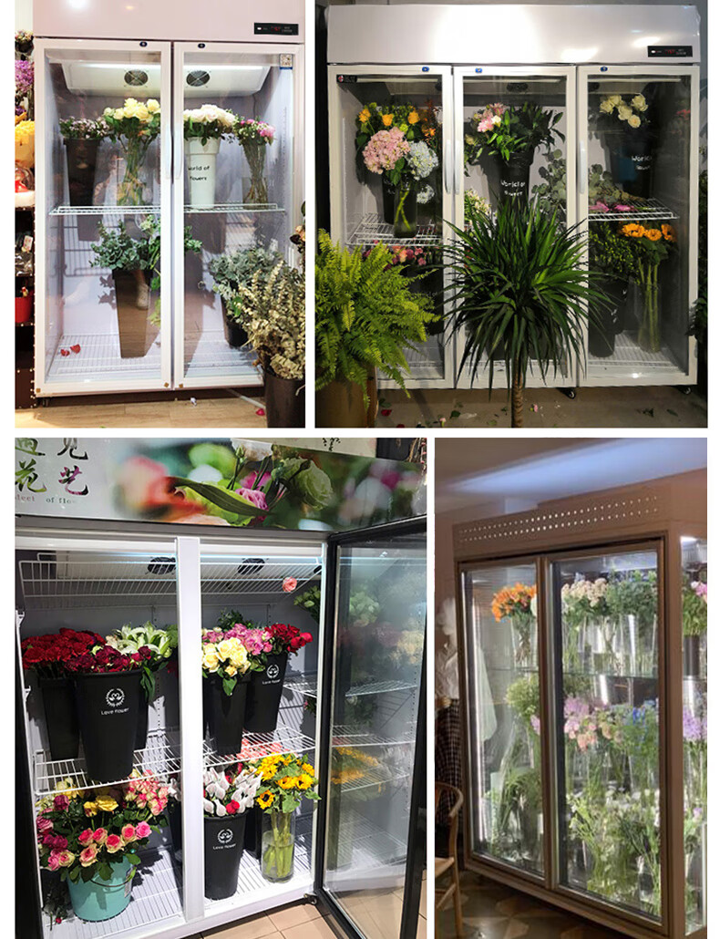 鲜花柜冷藏柜风冷无霜保鲜柜花店商用大容量玻璃展示柜单双标努三门