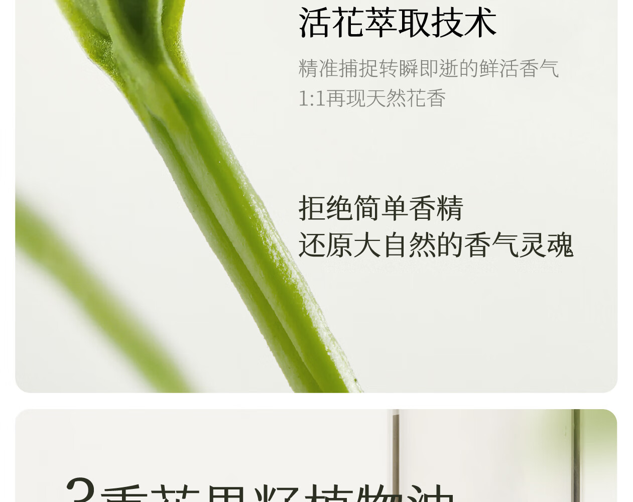 半亩花田（Little Dream Garden） 迪丽热巴同款精油香氛护手霜滋润保湿补水防干裂便携装女 【新升级】三效润护