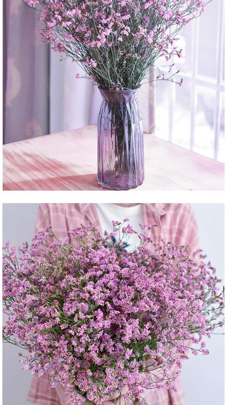 红水晶云南干花花束家居摆设小清新装饰鲜花真花ins红水晶一束50厘米