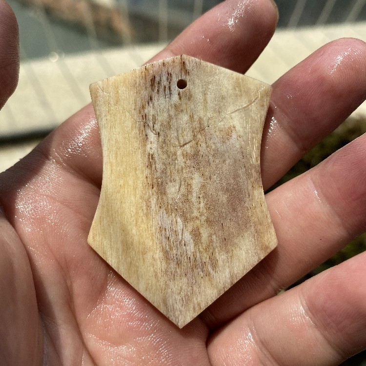 老凤凰天然骆驼骨血料满蝌蚪纹手工雕刻未脱脂驼骨手把件三界牌吊坠