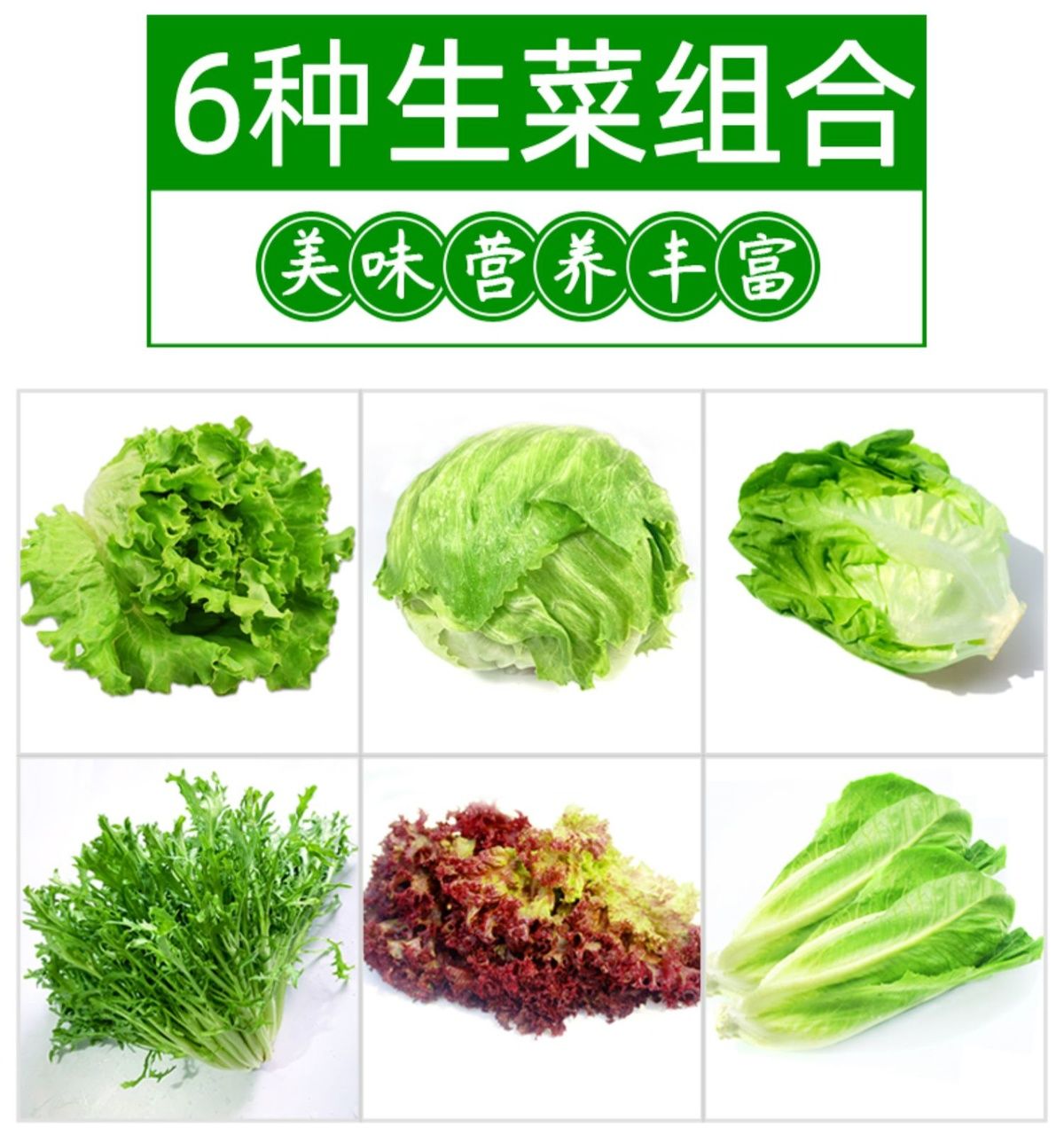 5斤苦菊球生菜绿叶红叶罗马生菜西餐沙拉食材 1750g【图片 价格 品牌