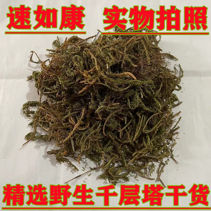 速如康中药材千层塔蛇交子毛青杠虱子草生扯拢精选野生干货自然晾晒无