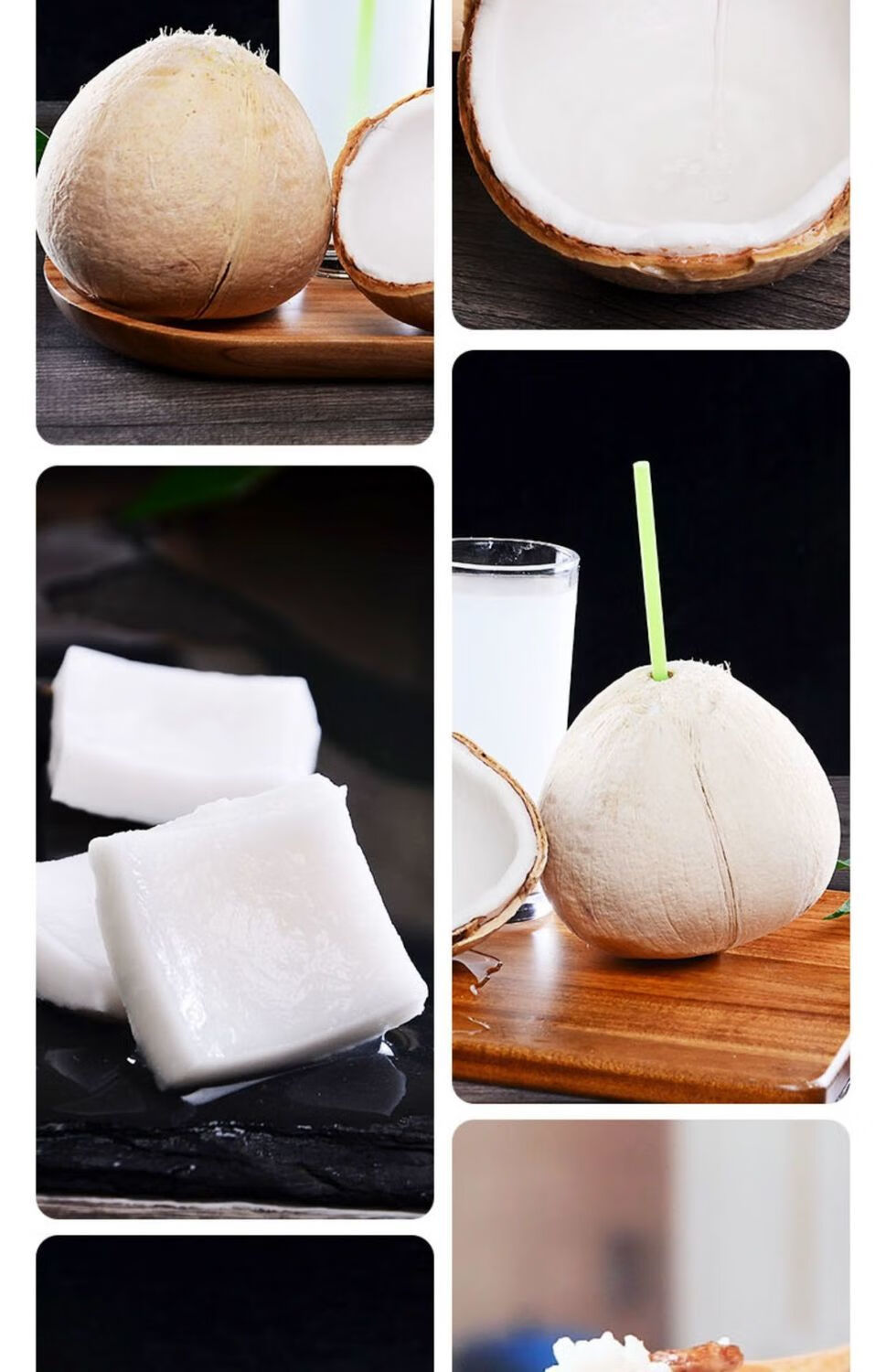 海南椰白奶香新鲜椰青4颗白椰子水果椰青小椰子煲汤奶香椰9颗精选果