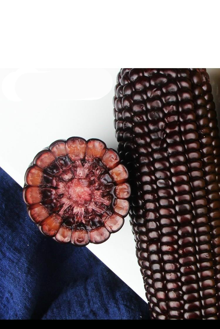 乌粒金花清甜玉米 乌粒金花清甜玉米乌粒金花青甜玉米紫色苞谷米真空