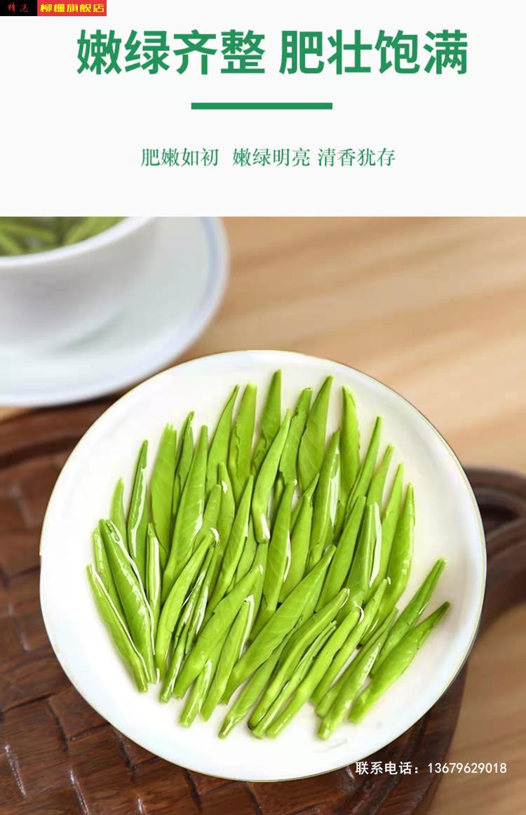 雀舌2021年特级500g绿茶茶叶竹叶茶青新茶四川正宗峨眉山明前散装