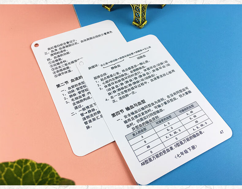 现货速发中学记忆手卡初中地理生物基础知识点记忆手卡中学生七八年级
