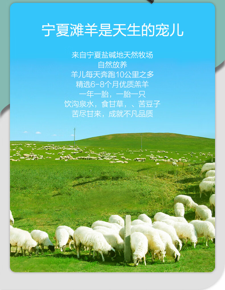 杞乐康宁夏滩羊肉生鲜白条羊半只15斤年货礼盒烧烤火锅炖煮食材清真