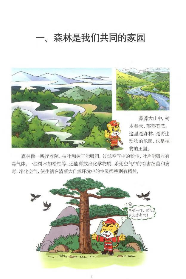 森林防火知识读本6511国家森林防火指挥部办公室组编森林火灾森林防火