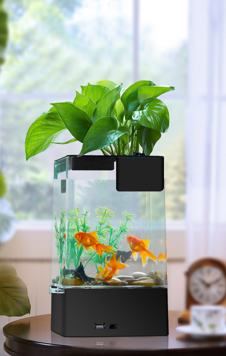 缸家用鱼缸小型鱼缸植物办公桌小鱼缸迷你缸办公室绿萝水培植物鱼缸
