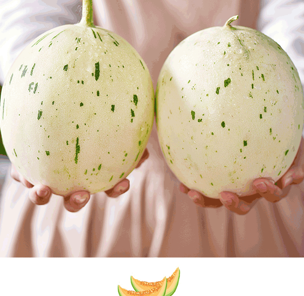 轻恋 山东月露流星蜜瓜 哈密瓜 冰淇淋奶香蜜 当季新鲜水果 精选5斤装