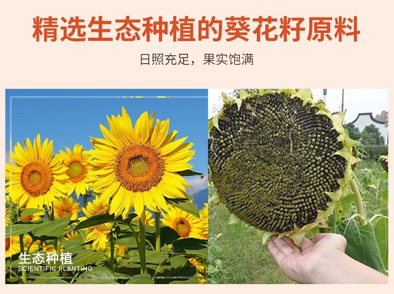 味滋源 每日坚果 坚果礼盒零食干果开坚果瓜子焦糖送礼500g心果核桃仁腰果送礼 焦糖瓜子 500g/袋 1份详情图片53