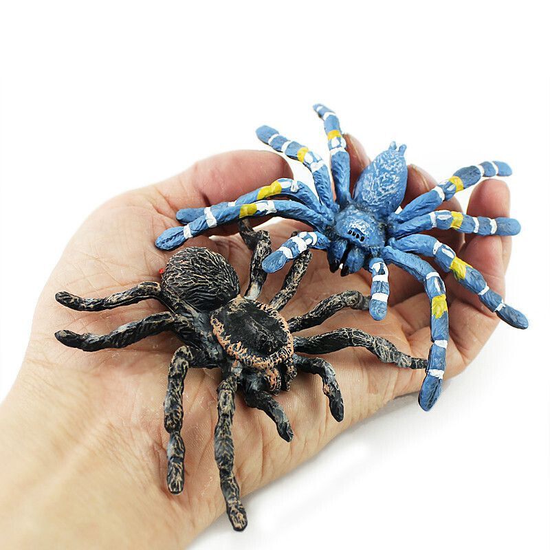 定制新年礼物仿真昆虫蜘蛛玩具动物模型大号黑蜘蛛套装儿童科教认知
