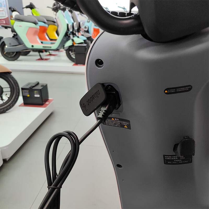 适用于九号电动车充电器适用电动新国标自行车a30c35a40a65原厂铅酸