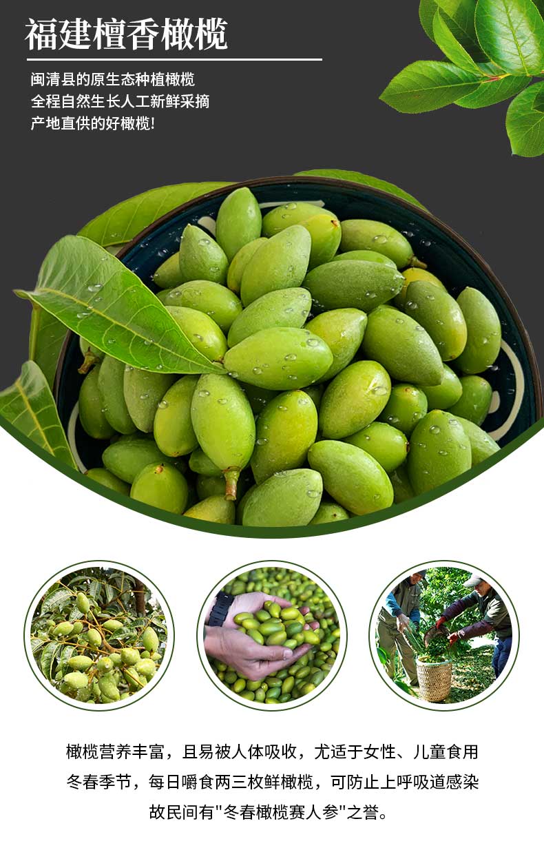 素界福州闽清特产檀香青橄榄无渣甜种新鲜现摘500g煲汤休闲零食脆果