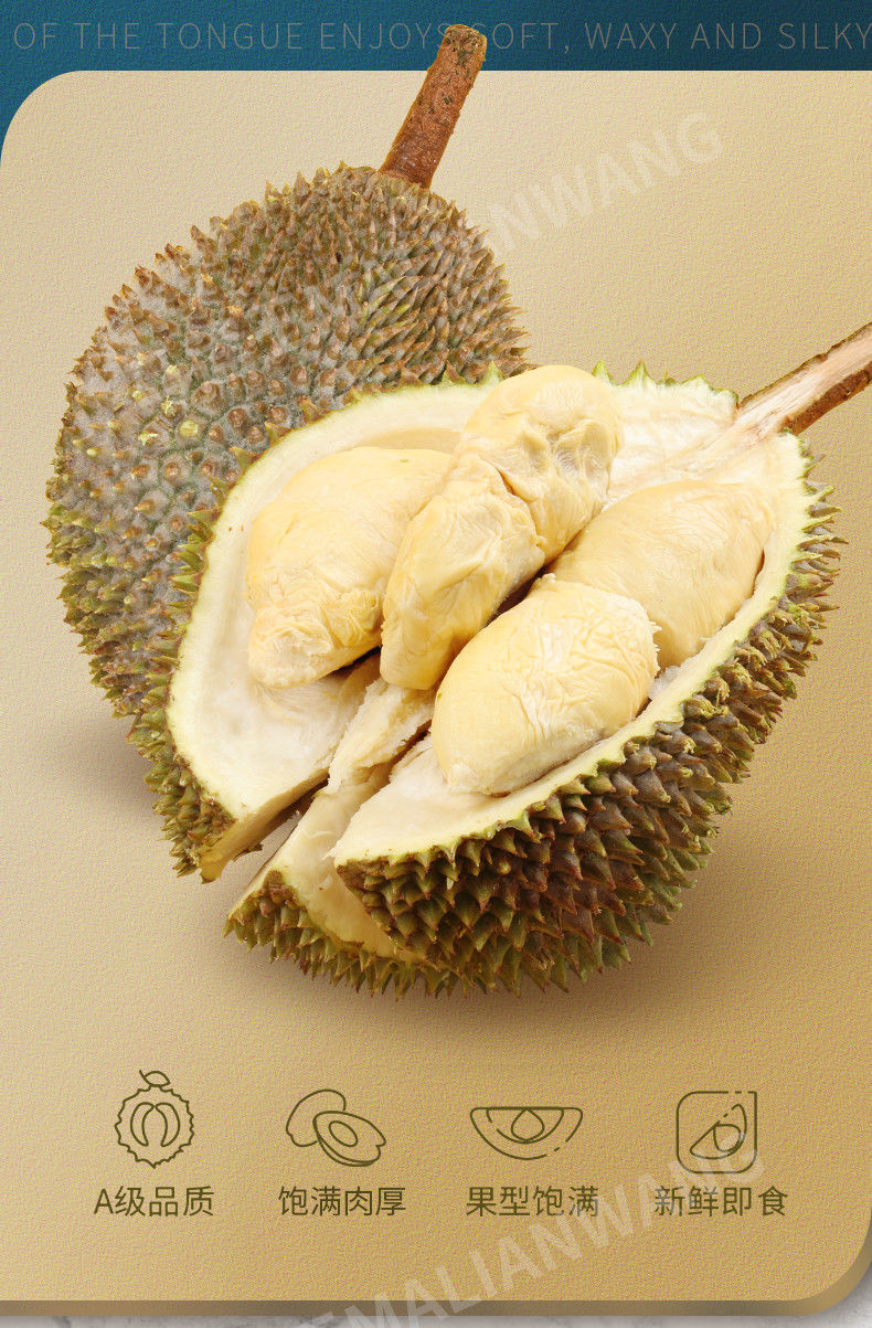 马来西亚名品种白色恋人xo榴莲液氮冷冻精选a果保3房带壳335斤保3房