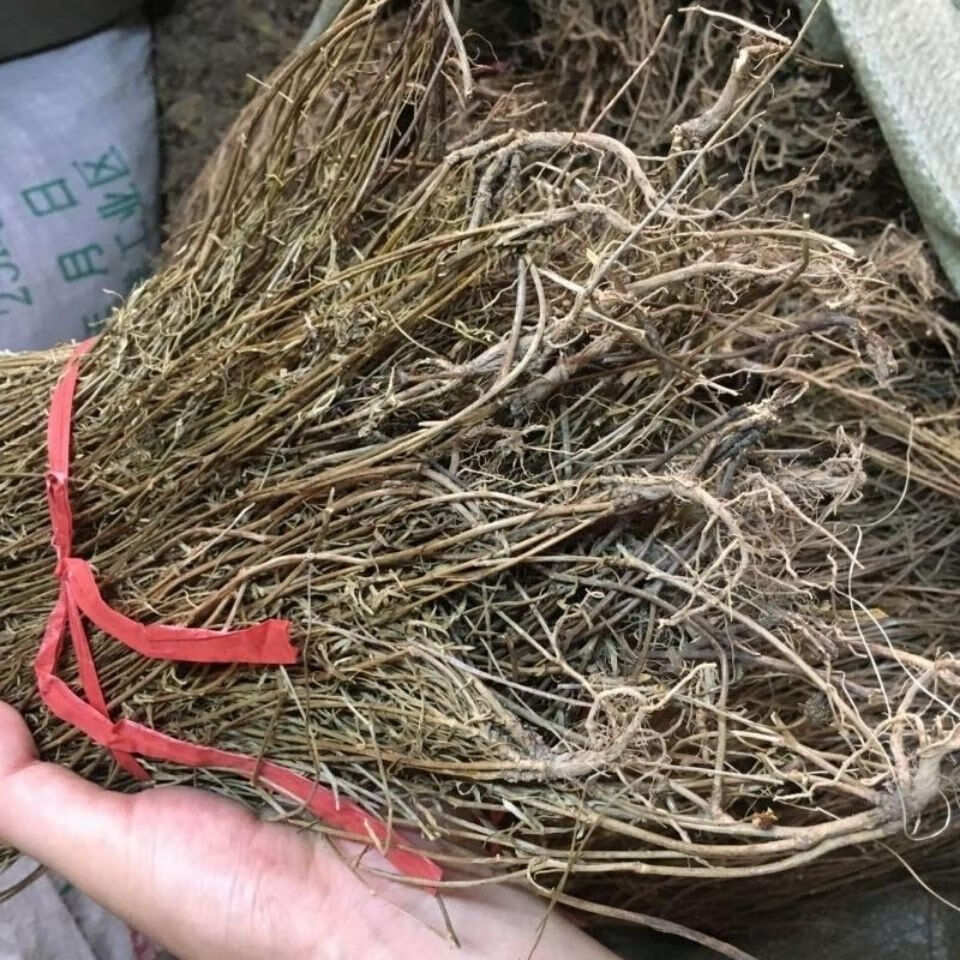 有仁堂金锁匙 潮汕500克 500g【图片 价格 品牌 报价】-京东