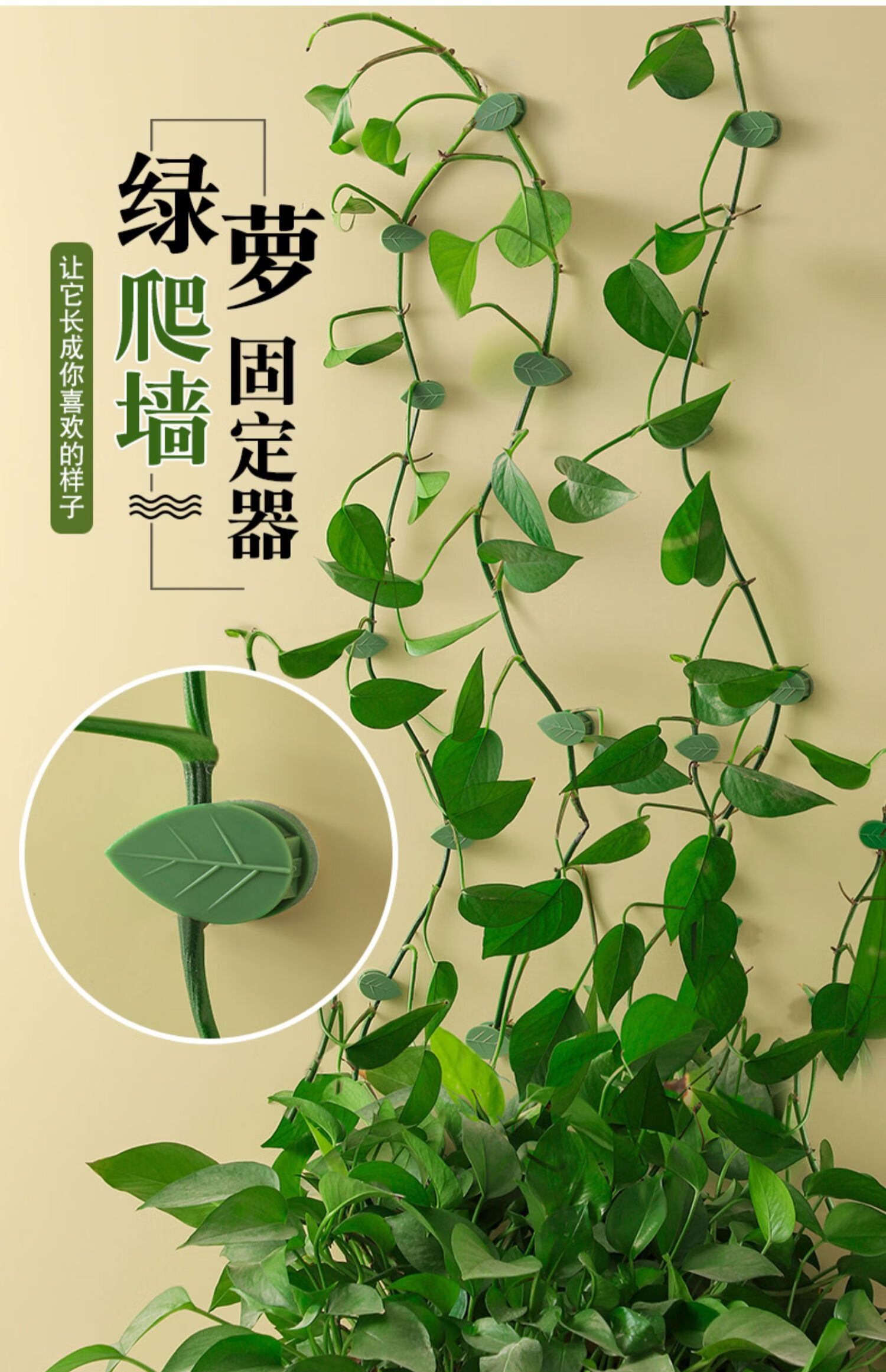 綠蘿固定器綠植爬牆神器牆面綠籮固定花的卡扣爬藤吸盤攀藤勾夾扣0110