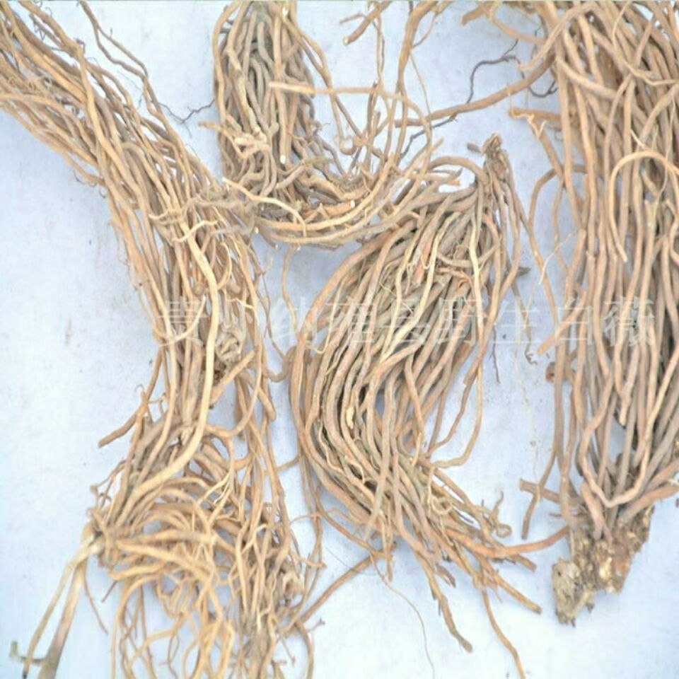 野生中草药材白薇草贵州省草白马薇白前老君须针线包产地直发 250克