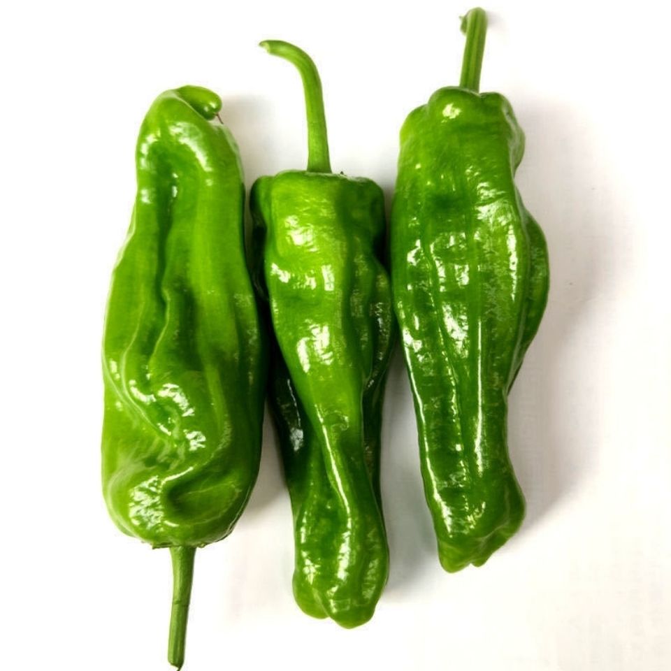 新鲜薄皮青椒微辣虎皮青椒新鲜薄皮青椒蔬菜整箱生鲜 薄皮青椒3斤装