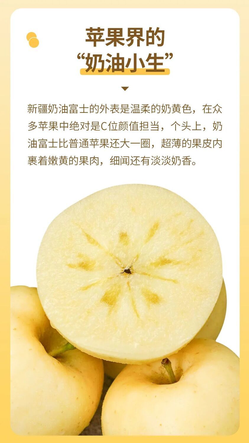 辰颐物语 5斤 山东奶油富士苹果黄金苹果甜脆现摘应当季水果 2500g