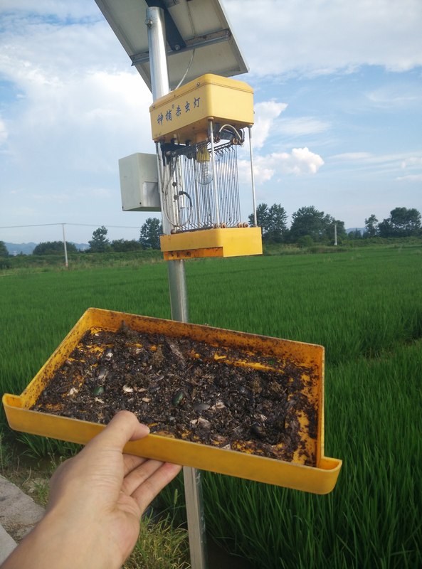 农用太阳能杀虫灯果园茶园稻田灭虫灯户外频振式诱蛾灭蚊灯30w太阳板