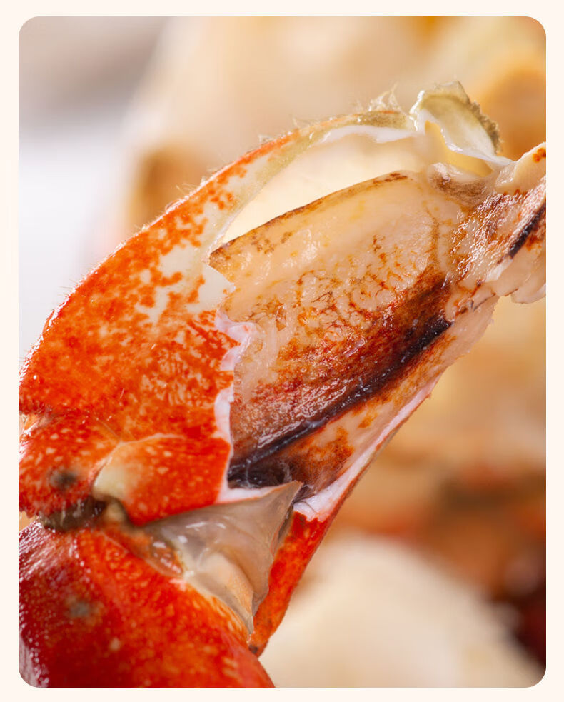 黄道蟹新鲜熟冻螃蟹足 碎蟹蟹脚 单独无黄无膏蟹块半蟹带蟹钳500g