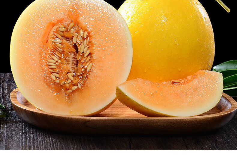 【果园采摘】黄皮哈密瓜民勤沙漠蜜瓜当季新鲜水果薄皮甜瓜金红宝现摘