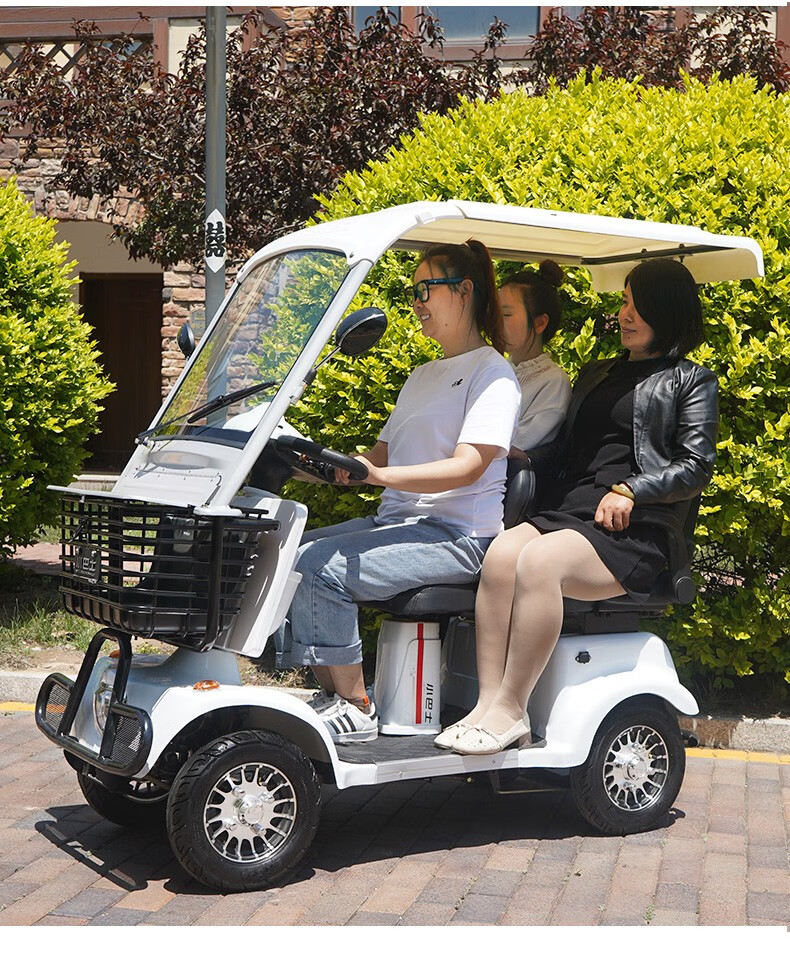 车电瓶车老人带棚新能源电动四轮车双人e90800w60v20ah锂电池带棚帘