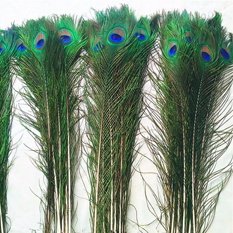 孔雀羽毛真羽毛翎尾婚庆花瓶装饰羽毛屏风用孔雀毛家居装饰摆件插花