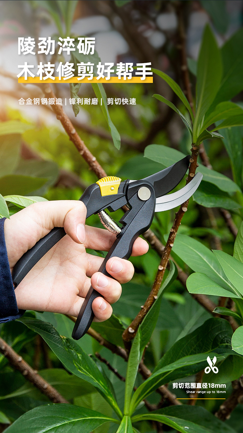 得力deli花木修剪刀园艺剪果树剪花枝剪不锈钢刀头粗枝剪刀园艺工具