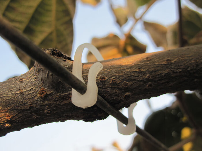 益乾猕猴桃葡萄树种植绑枝卡扣机绑蔓挂钩扎丝枝条缚固定塑料卡子