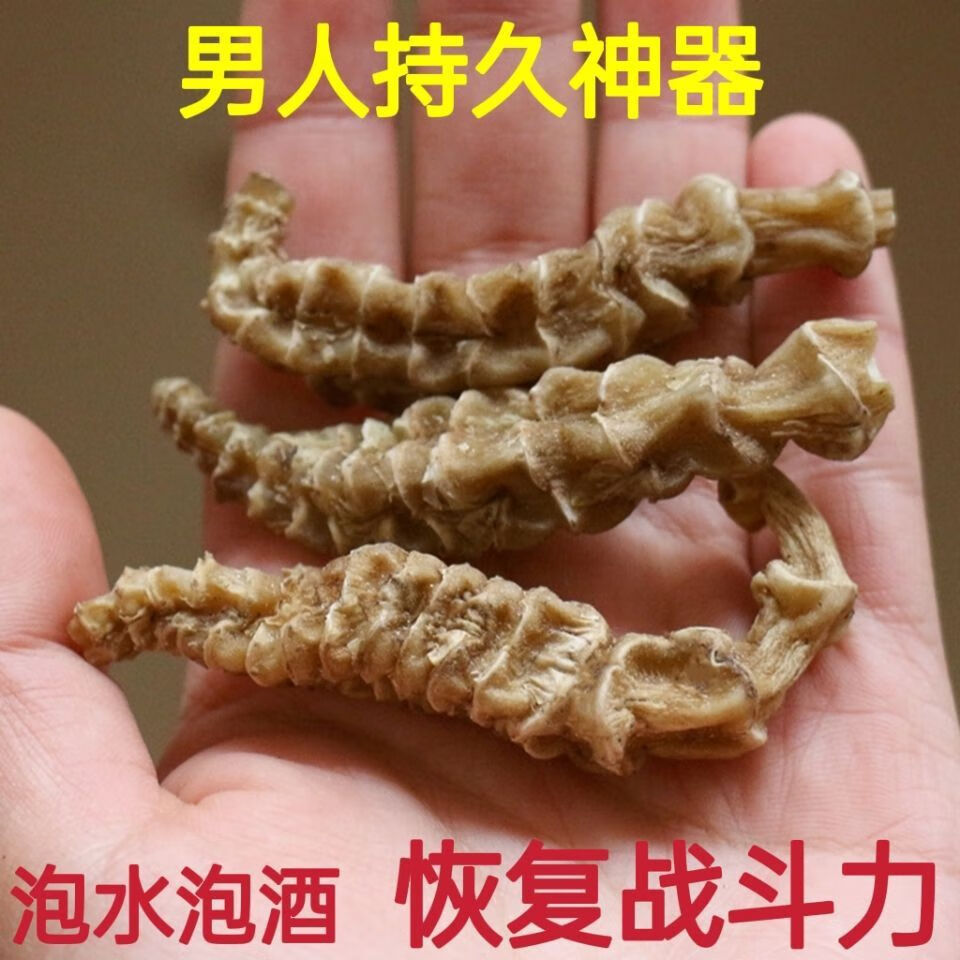 回春草野生顶天柱中药 不老草硬的快云南泡茶泡酒料配起阳草 保质保量