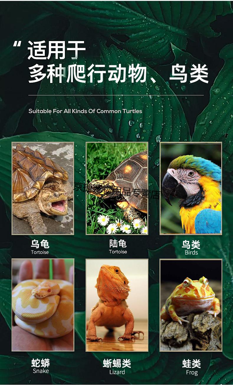 爬宠角蛙守宫蜥蜴眼药水蒙眼半水乌龟白眼肿胀不睁眼滴眼液贝西10ml