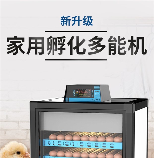 家用小型孵化机小鸡孵化器电抱48枚孵蛋机全自动小鸭鹅孵化箱设备