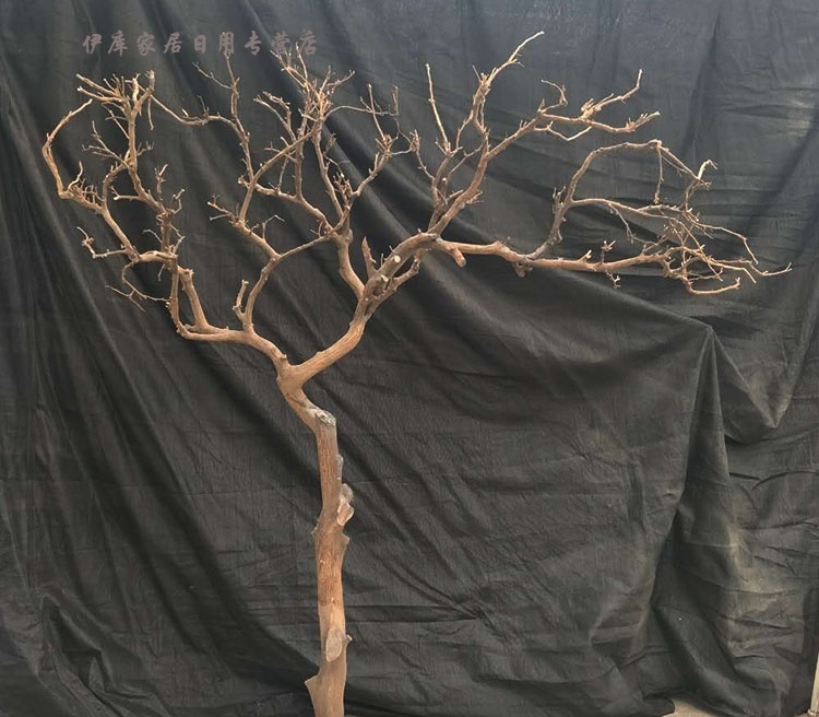 干树枝干枝装饰枯枝树假树枝枯枝树干树装饰树仿真树枝假树枝25米去皮