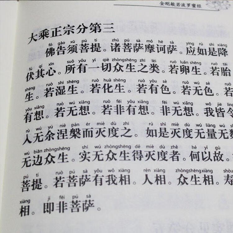 金剛經帶拼音楞嚴咒地藏經朝暮課誦大字簡體普門品注音版全套佛僧伽吒