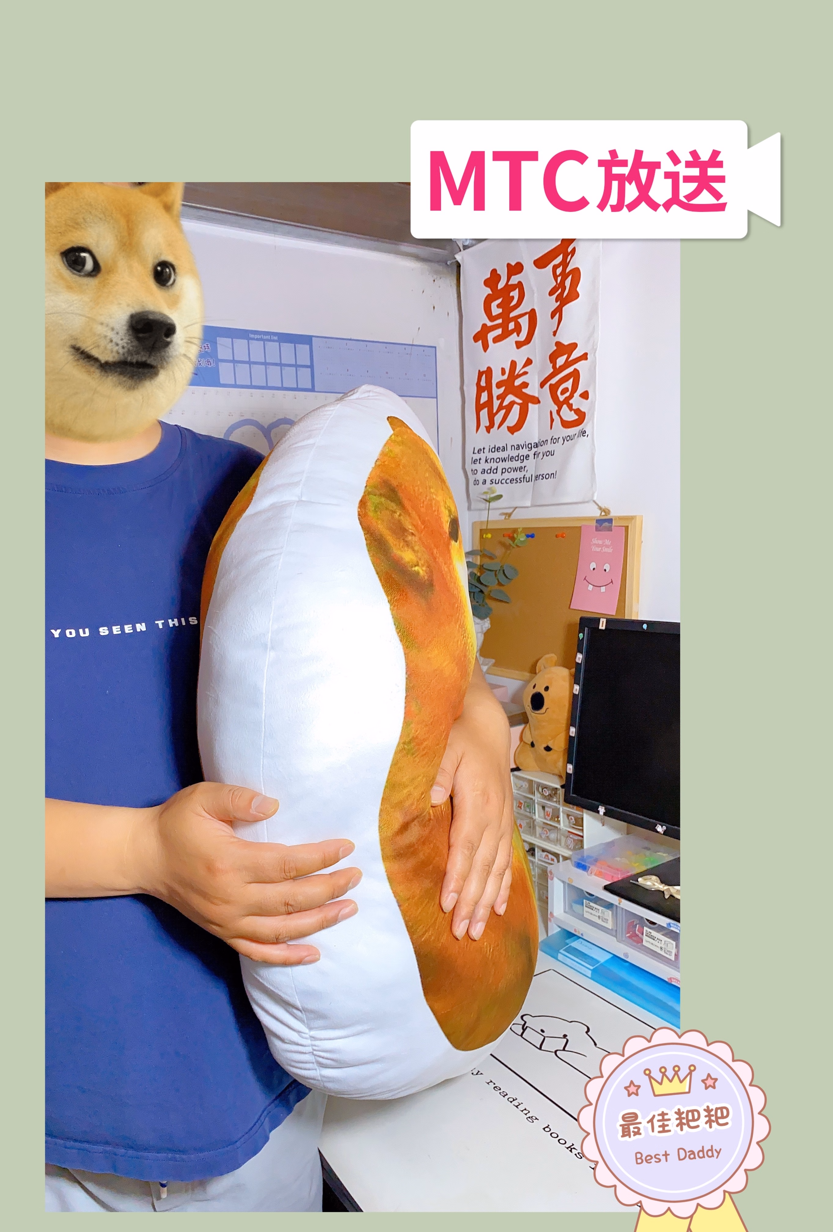 黄金回旋cheems修勾柴犬玩偶doge表情暖手抱枕popo猫沙雕礼物男生