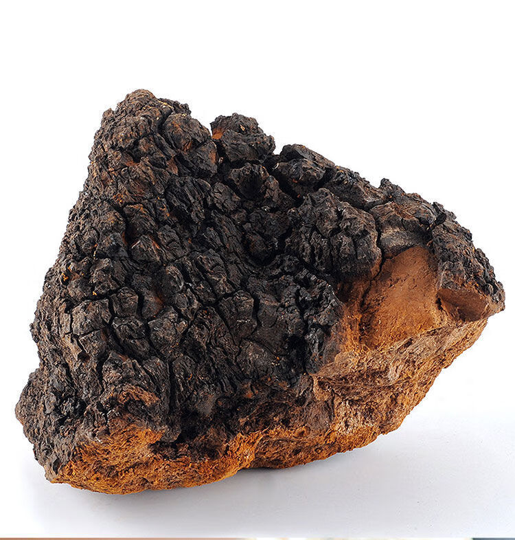 桦树茸桦树茸茶野生桦褐孔菌白桦茸黑金桦树泪长白山桦树茸整块700克