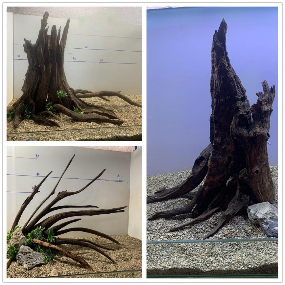 现货沉木树桩沉木树桩南美景多枝丛林定制景20-120鱼缸 60cm定制南