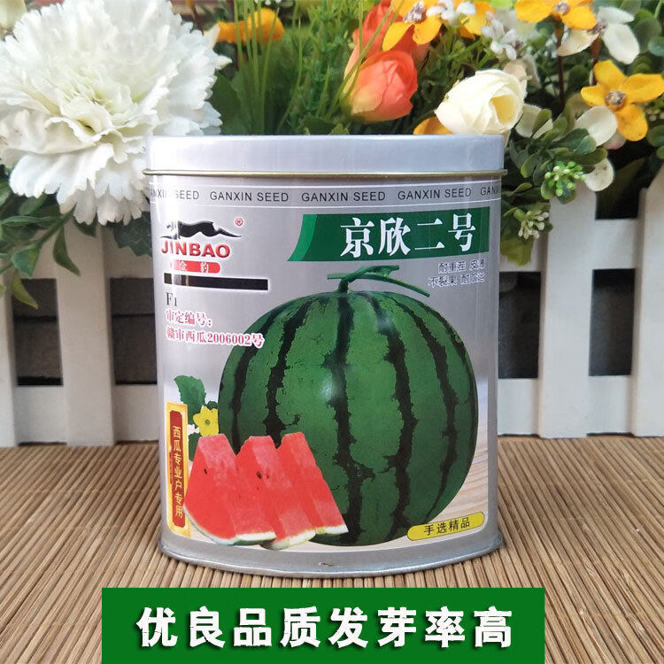 早熟西瓜种子抗裂京欣二号皮薄红瓤甜度高瓜发芽率高原装千粒