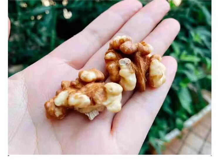 童昌纸皮核桃手剥纸皮烤核桃草本味南疆特产孕妇坚果学生零食1000克