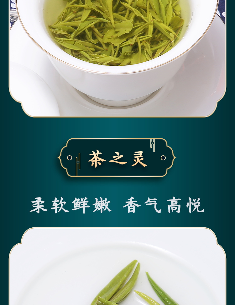 湖南好品牌古阳河古丈毛尖绿茶2021新茶湘西高山绿茶100克特级圆罐装