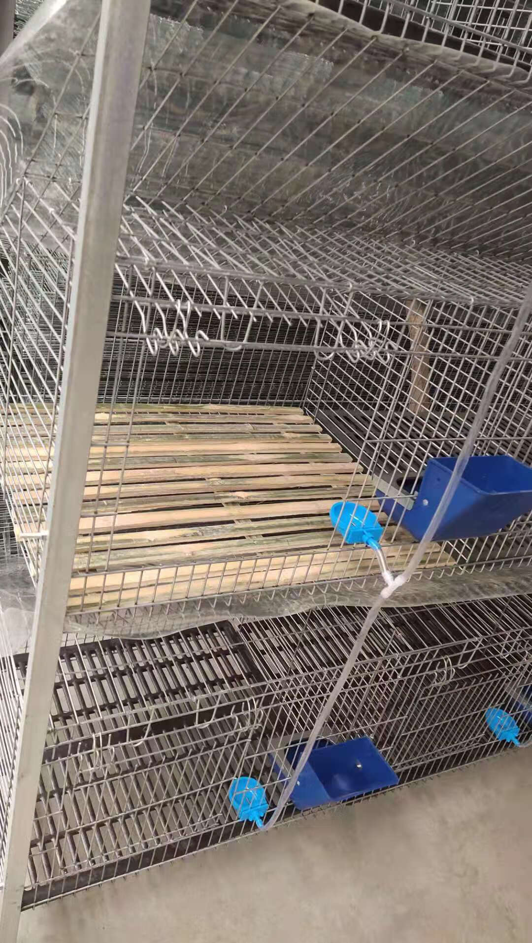 兔笼子大号12位竹底三层新型兔笼养殖笼加粗加密热镀锌兔笼子特大号兔